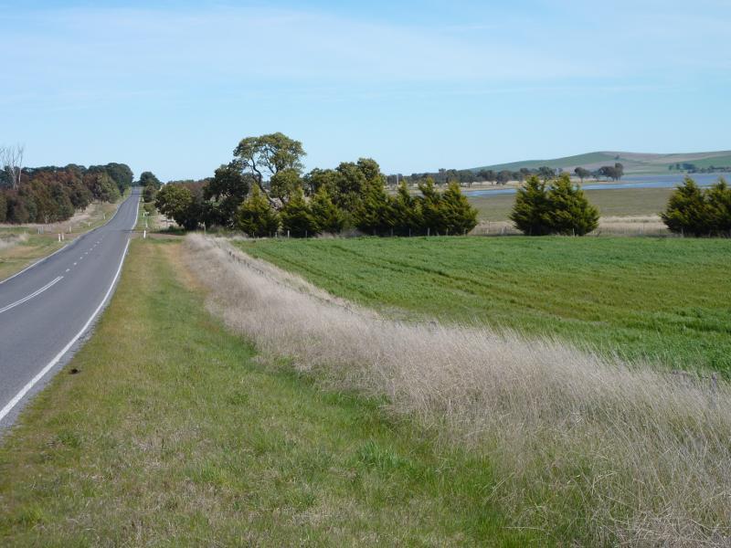 Beaufort - Skipton Road, south of Beaufort: View south along Skipton Rd towards Dooleys Rd