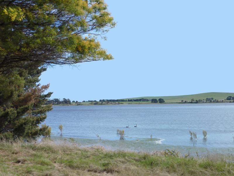 Beaufort - Lake Goldsmith, Skipton Road south of Beaufort: Westerly view across lake from Skipton Rd near Carngham Rd