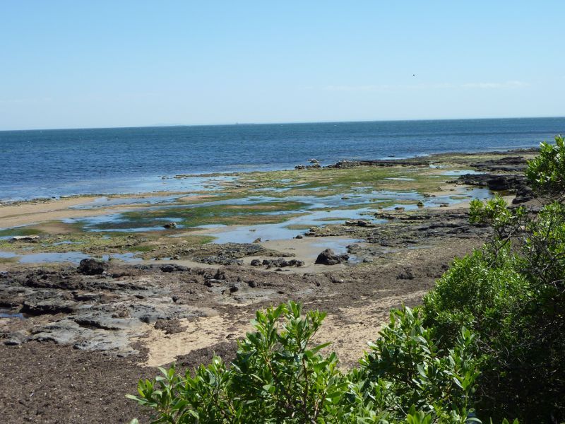 Beaumaris - Beach near end of Haydens Road: Westerly view across rock platform towards the bay