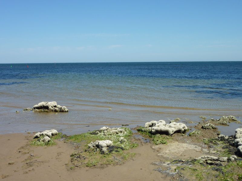 Beaumaris - Beach near end of Haydens Road: View towards the bay