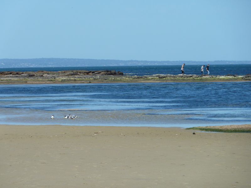 Beaumaris - Beach between Beaumaris Yacht Club and Ricketts Point: South-easterly view along beach south of yacht club