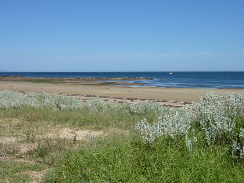 Beaumaris - Beach between Beaumaris Yacht Club and Ricketts Point: Southerly view through foreshore near Reserve Rd