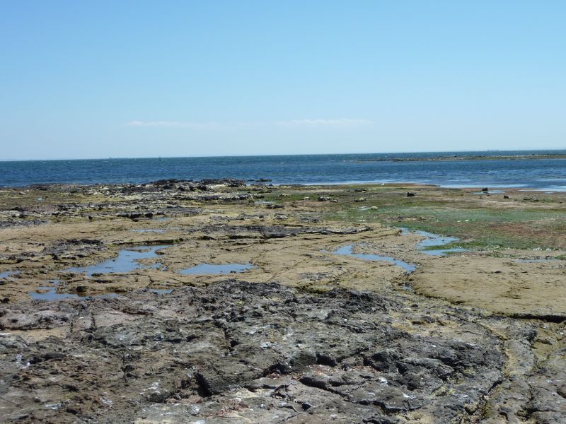 Beaumaris - Beach between Beaumaris Yacht Club and Ricketts Point: View across rock platform towards the bay near Reserve Rd