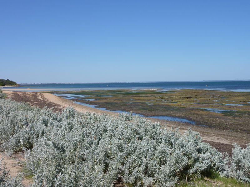 Beaumaris - Beach between Beaumaris Yacht Club and Ricketts Point: South-easterly view across bay at Ricketts Point