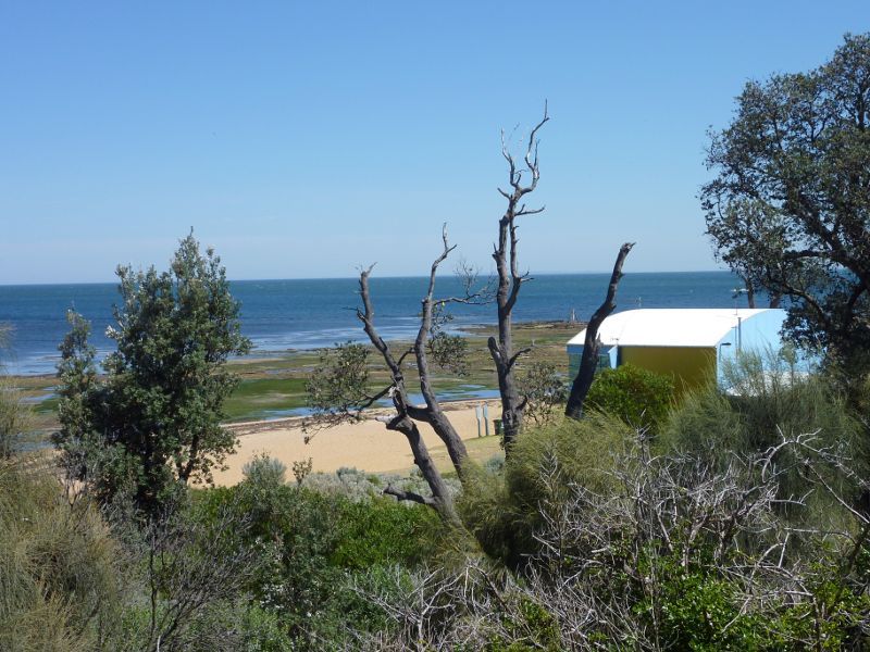 Beaumaris - Beach and cliff top path near Beaumaris Life Saving Club: Cliff top path behind Beaumaris Life Saving Club