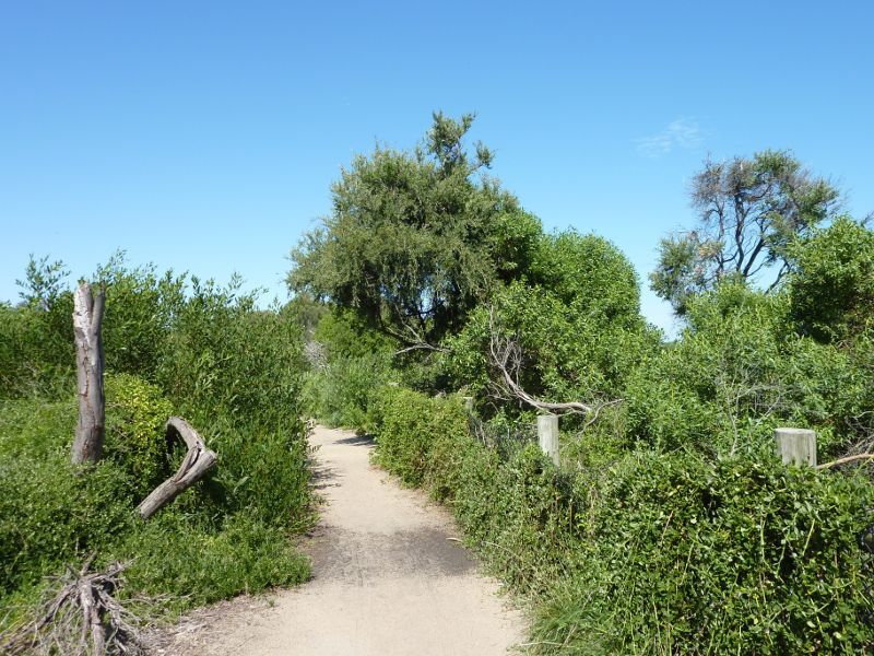 Beaumaris - Coastline around Table Rock Point and Sea Scout Jetty: Cliff top pathway on west side of Table Rock Point