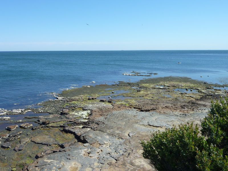 Beaumaris - Coastline around Table Rock Point and Sea Scout Jetty: Table Rock Point viewed from cliff top path