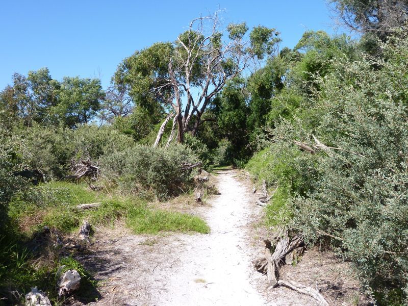 Beaumaris - Donald MacDonald Reserve: Path through bush near Haydens Rd