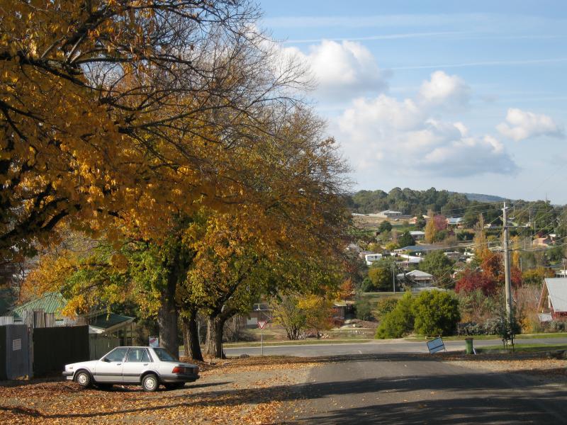 Beechworth - Around Beechworth: View south-east along Church St towards High St
