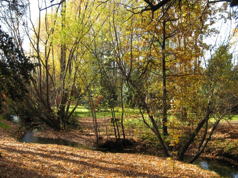 Beechworth - Albert Road area: View north-east along creek near Albert Rd