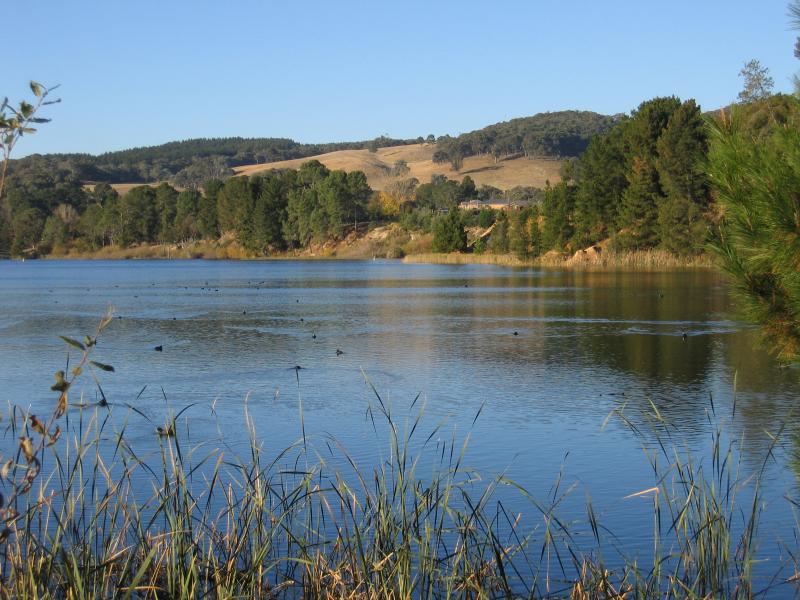 Beechworth - Lake Sambell: View east across lake