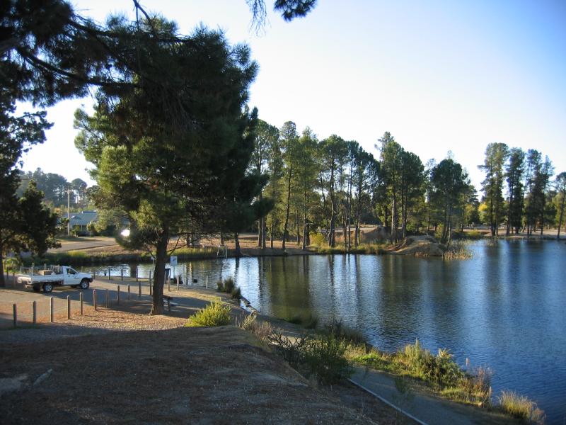 Beechworth - Lake Sambell: View north along lake towards boat ramp