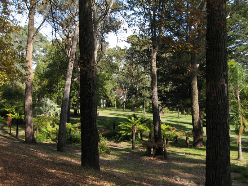 Beechworth - La Trobe University: Fernery and gardens