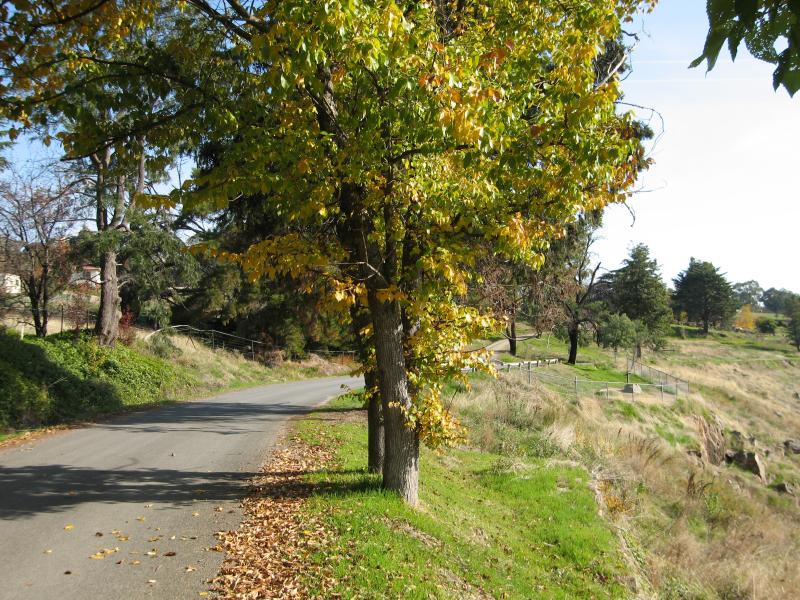 Beechworth - Newtown Bridge and Newtown Falls, Bridge Street at Gorge Road: View north along Gorge Rd towards waterfall viewing area