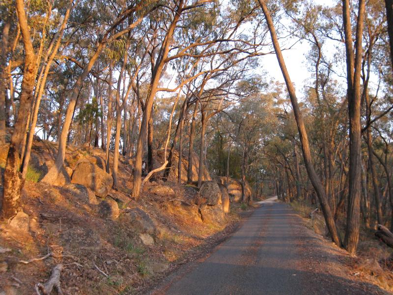 Beechworth - Gorge Road scenic drive: View south along Gorge Rd between Spring Creek and Newtown Falls