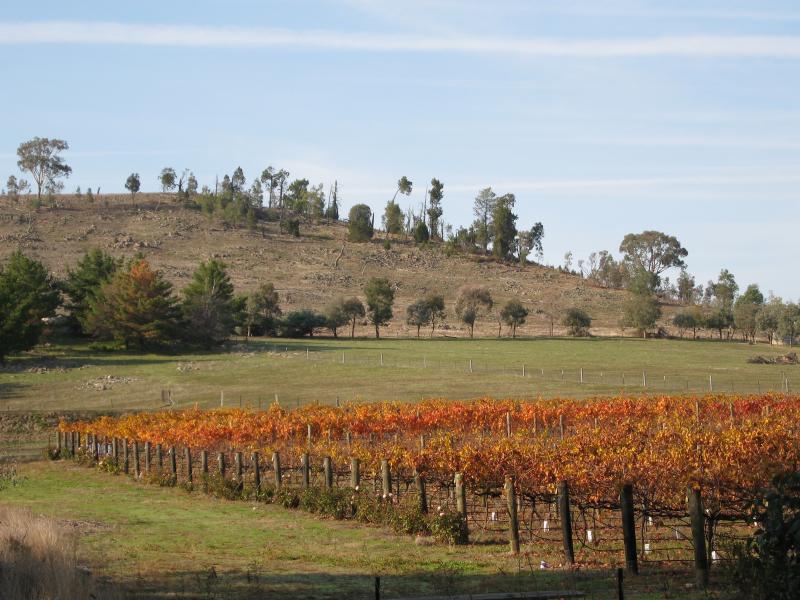 Beechworth - Views from Wangaratta Road, west of Beechworth: View towards a vineyard, 11 kilometres west of Beechworth