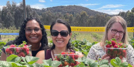 Beechworth Berries, Wooragee