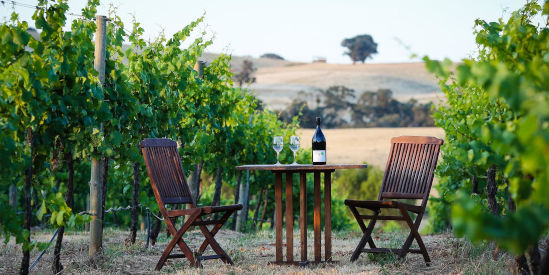 Indigo Wine Co., Everton Upper