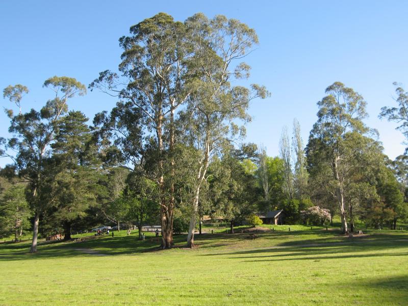 Belgrave - Belgrave Lake Park: View across central oval