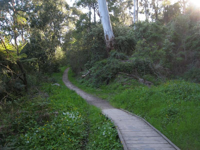 Belgrave - Belgrave Lake Park: Pathway through bush on north side of Monbulk Creek