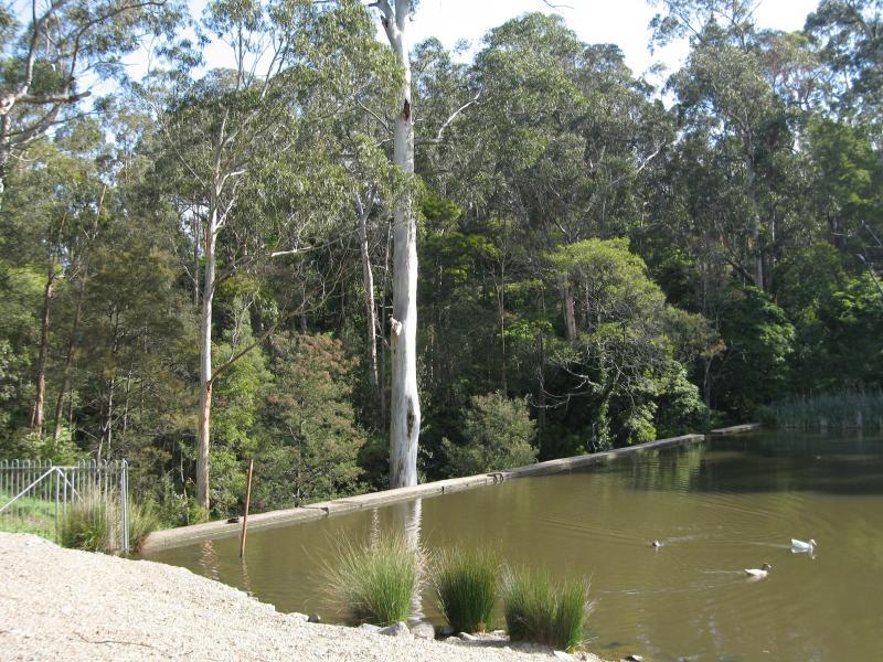 Belgrave - Belgrave Lake Park: Dandenong Reservoir near dam wall