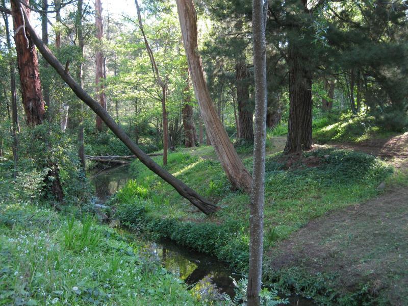 Belgrave - Belgrave Lake Park: Monbulk Creek, Judkins Av south of Dandenong Reservoir dam wall