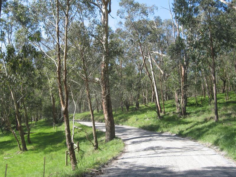 Belgrave - Birdsland Reserve, Mt Morton Road, Belgrave Heights: Access road through reserve