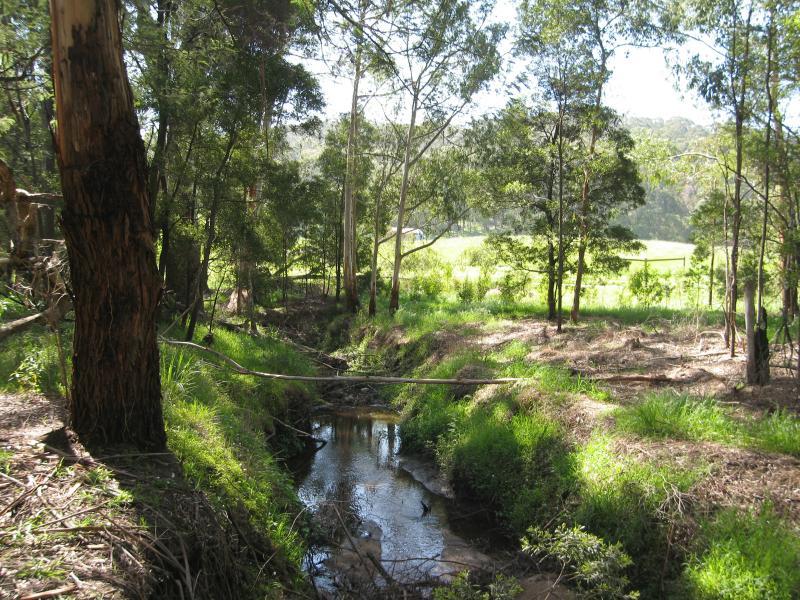 Belgrave - Birdsland Reserve, Mt Morton Road, Belgrave Heights: Monbulk Creek near car park