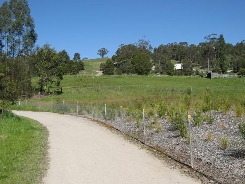 Belgrave - Birdsland Reserve, Mt Morton Road, Belgrave Heights: Pathway along southern side of creek