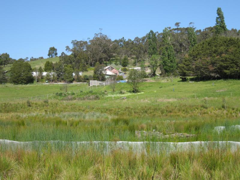 Belgrave - Birdsland Reserve, Mt Morton Road, Belgrave Heights: Wetlands on southern side of creek
