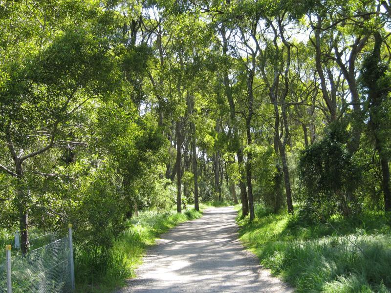Belgrave - Birdsland Reserve, Mt Morton Road, Belgrave Heights: Pathway between wetlands and lake