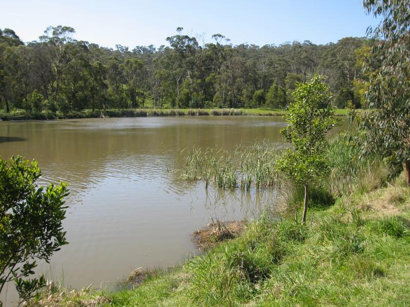 Belgrave - Birdsland Reserve, Mt Morton Road, Belgrave Heights: View across western lake from southern side
