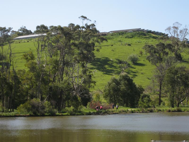 Belgrave - Birdsland Reserve, Mt Morton Road, Belgrave Heights: View north across western lake