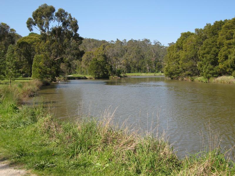 Belgrave - Birdsland Reserve, Mt Morton Road, Belgrave Heights: View east along north side of western lake