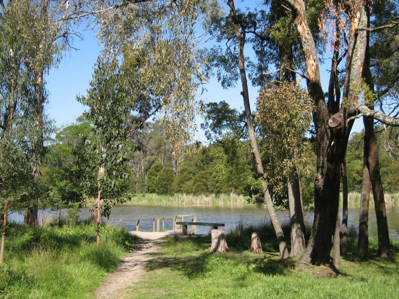 Belgrave - Birdsland Reserve, Mt Morton Road, Belgrave Heights: Path to jetty on north side of western lake