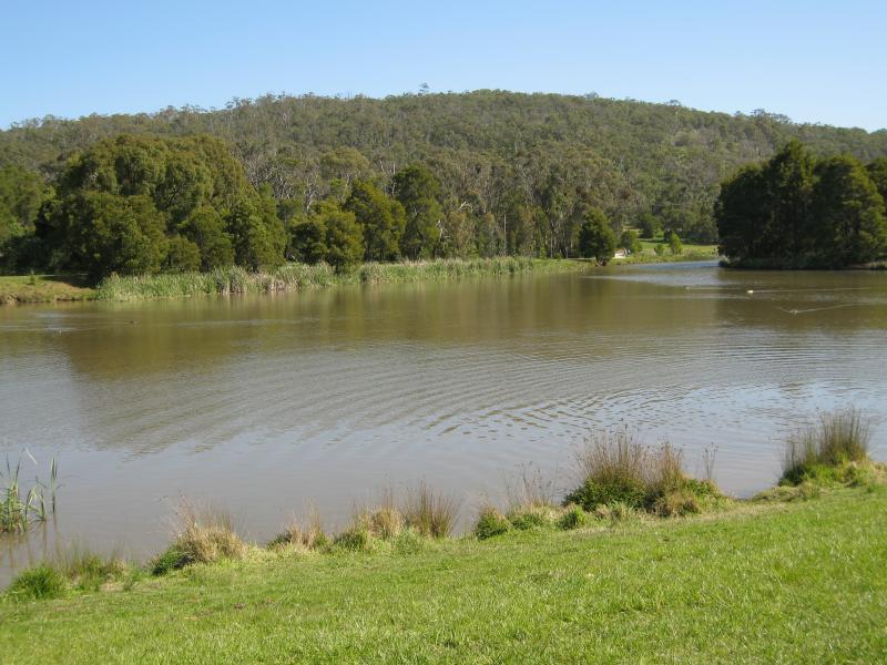 Belgrave - Birdsland Reserve, Mt Morton Road, Belgrave Heights: View south across eastern side of western lake