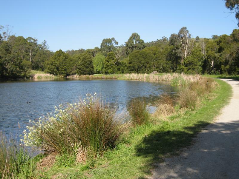 Belgrave - Birdsland Reserve, Mt Morton Road, Belgrave Heights: Pathway along southern side of eastern lake