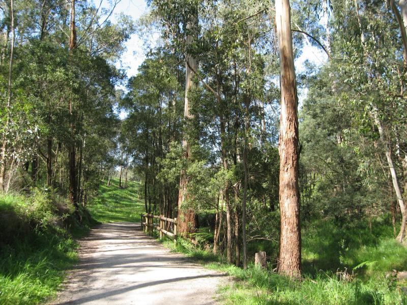 Belgrave - Birdsland Reserve, Mt Morton Road, Belgrave Heights: Pathway through bush between eastern lake and car park