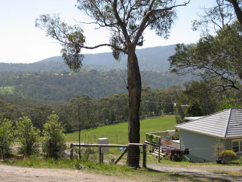 Belgrave - Mt Morton Reserve, Chaundy Road, Belgrave South: North-west view from Chaundy Rd