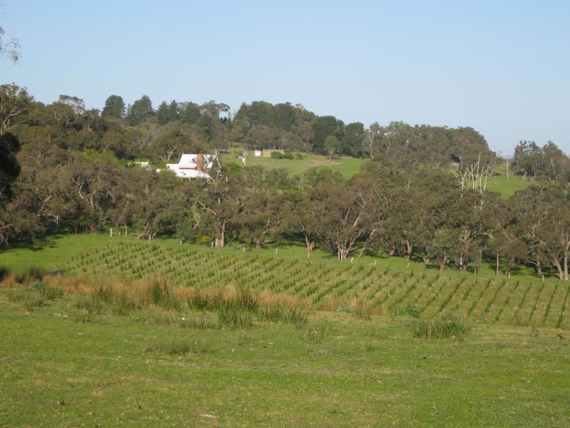 Belgrave - Scenery along Belgrave-Hallam Road, south of Belgrave South town centre: Easterly view