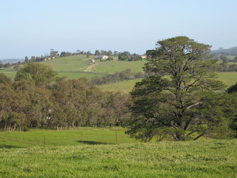 Belgrave - Scenery along Belgrave-Hallam Road, south of Belgrave South town centre: Easterly view