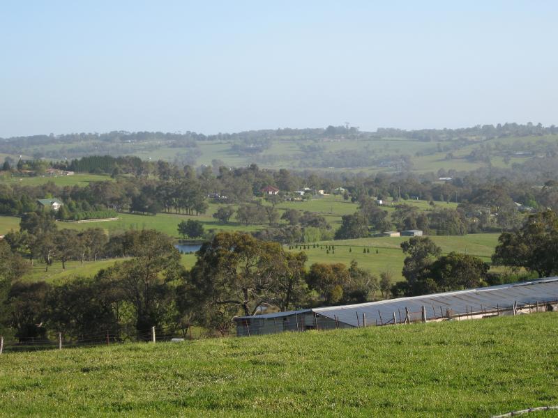 Belgrave - Scenery along Belgrave-Hallam Road, south of Belgrave South town centre: South-easterly view