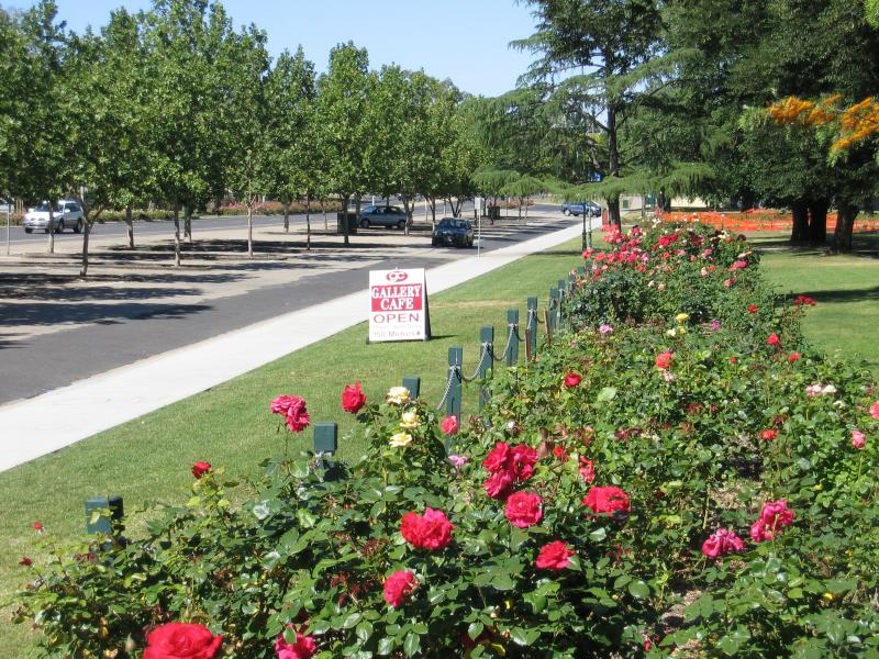 Benalla - Botanical Gardens, Bridge Street West: Rose gardens, view south-west along Bridge St