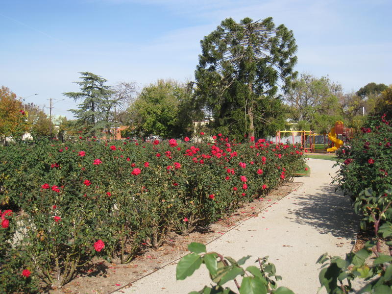 Benalla - Botanical Gardens, Bridge Street West: Rose gardens