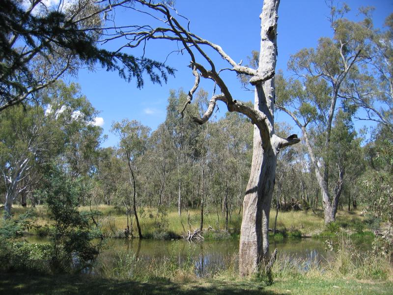 Benalla - Lake Benalla, southern section around Council Offices and Jaycee Island: View across lake towards Little Casey Island from Jaycee Island
