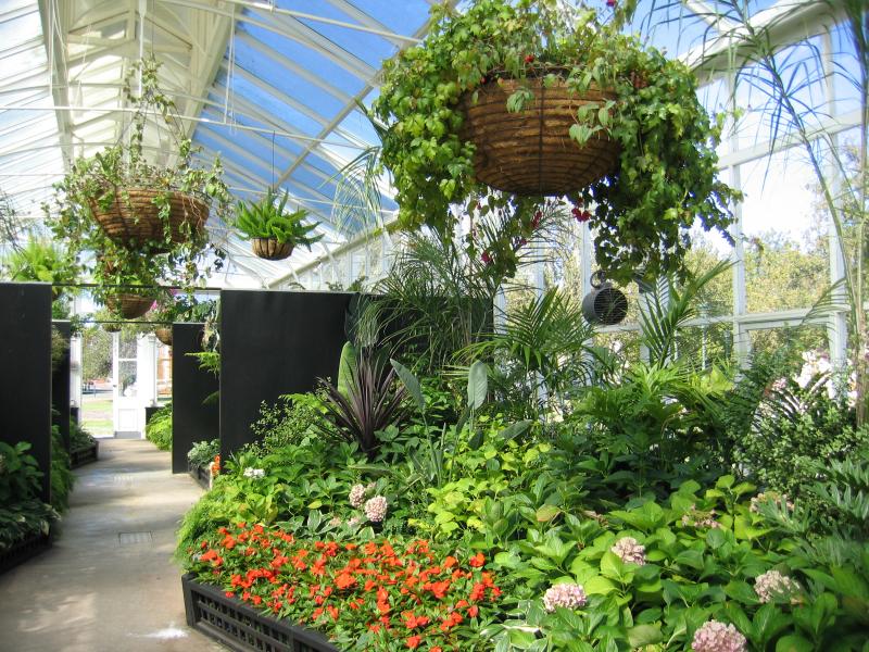 Bendigo - Conservatory Gardens, Pall Mall: Inside conservatory