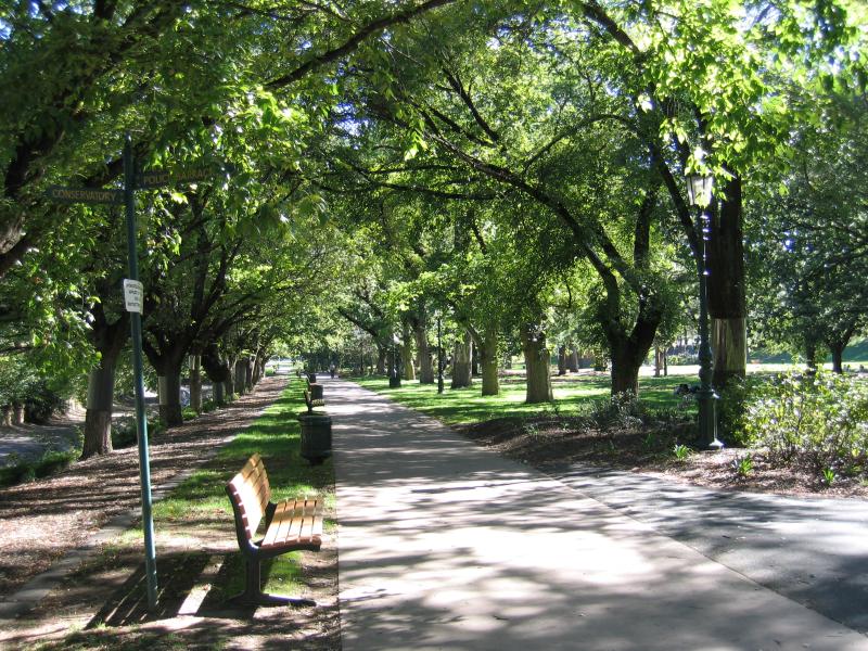 Bendigo - Rosalind Park: Shady pathway