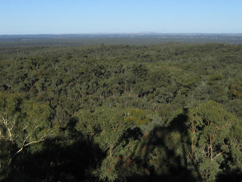 Bendigo - One Tree Hill lookout, One Tree Hill Road - View across One Tree Hill Regional Park
