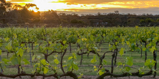 Mandurang Valley Wines, Mandurang