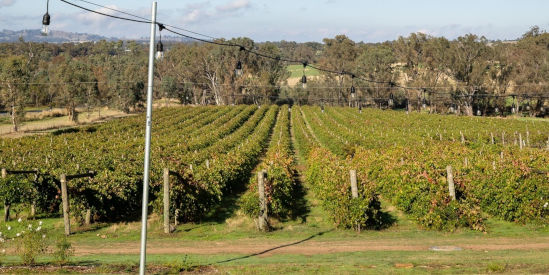 St Anne's Winery, Ravenswood